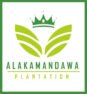 Welcome to Alakamandawa